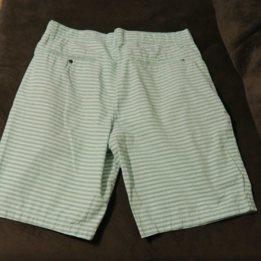 Hurley Mint Green and Grey Striped Mens Shorts Size 34 - Picture 2 of 5